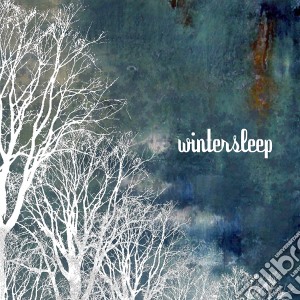 Wintersleep - Wintersleep cd musicale di WINTERSLEEP