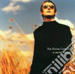 Divine Comedy (The) - A Secret History cd