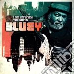 Bluey - Life Between The Notes