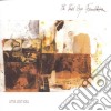 Third Eye Foundation - Little Lost Soul cd