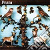 Pram - The Museum Of Imaginary Animals cd