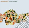 (LP Vinile) Junior Boys - So This Is Goodbye (2 Lp) cd