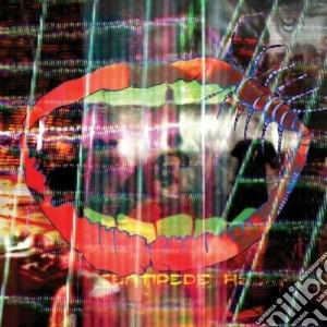 (LP Vinile) Animal Collective - Centipede Hz lp vinile di Collective Animal