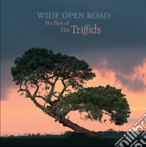 Triffids - Wide Open Road (10 Cd) cd musicale di TRIFFIDS