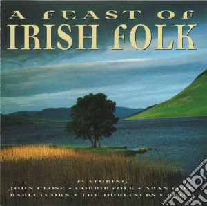 Feast Of Irish Folk cd musicale di Artisti Vari