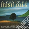 Feast Of Irish Folk cd