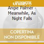 Angie Palmer - Meanwhile, As Night Falls cd