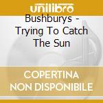 Bushburys - Trying To Catch The Sun cd musicale di Bushburys