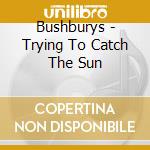 Bushburys - Trying To Catch The Sun cd