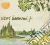 Albert Hammond Jr. - Yours To Keep cd