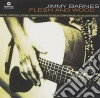 Jimmy Barnes - Flesh And Wood cd