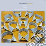 Oren Ambarchi - Quixotism cd