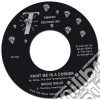 (LP Vinile) Nicole Willis & The Soul Investigators - Paint Me In A Corner (7') cd