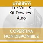 Tre Voci & Kit Downes - Auro cd musicale