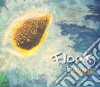 Flook - Haven cd