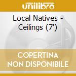 Local Natives - Ceilings (7