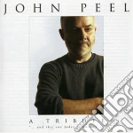 John Peel: A Tribute / VArious cd