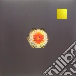 Gold Panda - Half Of Where You Live (2 Lp) cd