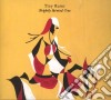 Tiny Ruins - Brightly Painted One cd