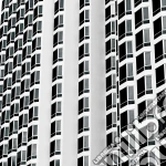 (LP Vinile) Kvb (The) - Fixation / White Walls Ep vinile