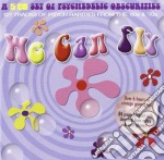 We Can Fly: A 5 Cd set Of Psychedelic Obscurities Vol. 1-5 / Various (5 Cd)