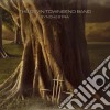 Devin Townsend Band - Synchestra cd