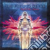 Arjen Anthony Lucassen's Star One - Unfold The Future (2 Cd) cd