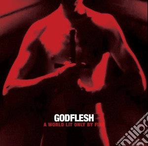 Godflesh - A World Lit Only By Fire cd musicale di Godflesh