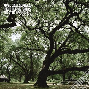 Noel Gallagher'S High Flying Birds - The Dying Of The Light (7