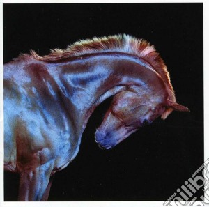Fenech-Soler - Rituals cd musicale di Fenech-soler