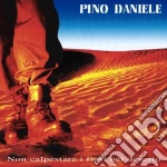 Pino Daniele - Non Calpestare I Fiori Nel Deserto cd