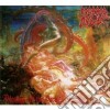 Morbid Angel - Blessed Are The Sick cd