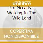 Jim Mccarty - Walking In The Wild Land