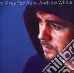 Andrew White - Pray For Rain