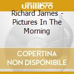 Richard James - Pictures In The Morning cd musicale di Richard James