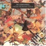 My Luminaries - Order From The Chaos cd