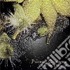 Pursuit Grooves - Frantically Hopeful cd