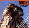 Blackfoot - Marauder cd