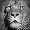 (LP Vinile) Ziro - Lionheart Ep cd