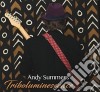 Andy Summers - Triboluminescence cd