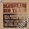 Bluegrass Big Three (3 Cd) cd
