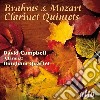Johannes Brahms - Quintetto Per Clarinetto Op 115 In Si (1 cd