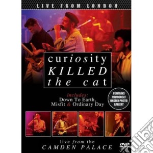 (Music Dvd) Curiosity Killed The Cat - Live From London cd musicale