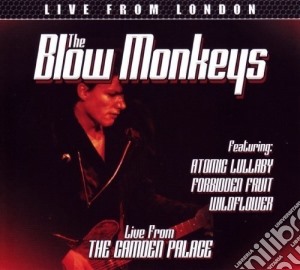 Blow Monkeys (The) - Live From The Camden Palace cd musicale di The Blow monkeys