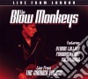 Blow Monkeys (The) - Live From The Camden Palace cd