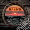 Sea Level - Live In Chicago 1977 cd