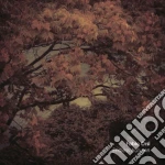 Fabio Orsi - Endless Autumn cd