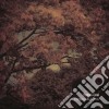 Fabio Orsi - Endless Autumn cd