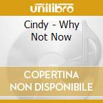 Cindy - Why Not Now cd musicale