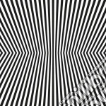 Vacant Lots - Damage Control cd